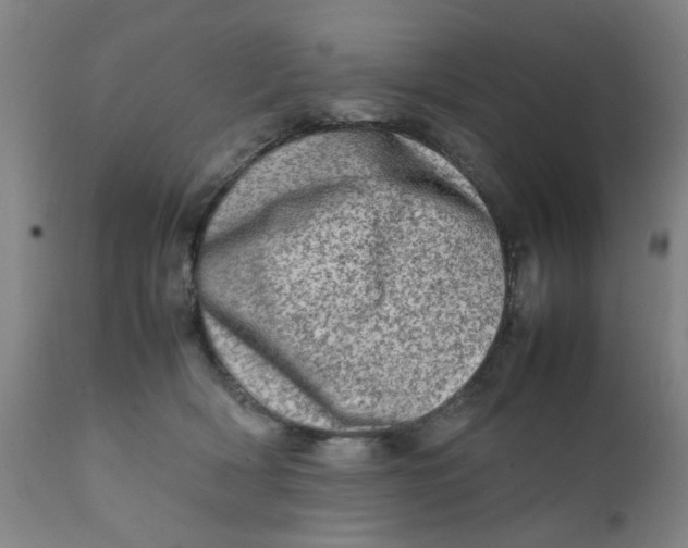 X0000111780418200908131353