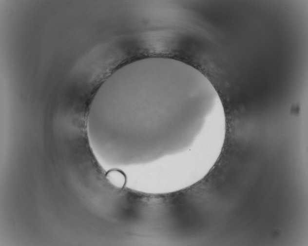 X0000111780419200908131353