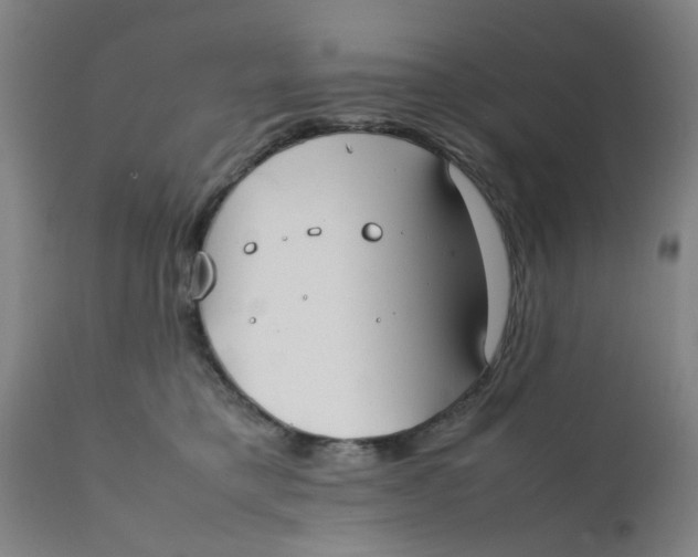 X0000111780421200908131353