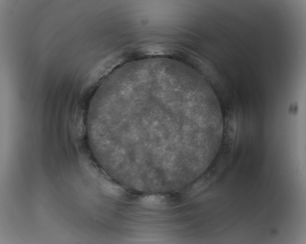 X0000111780422200908131353