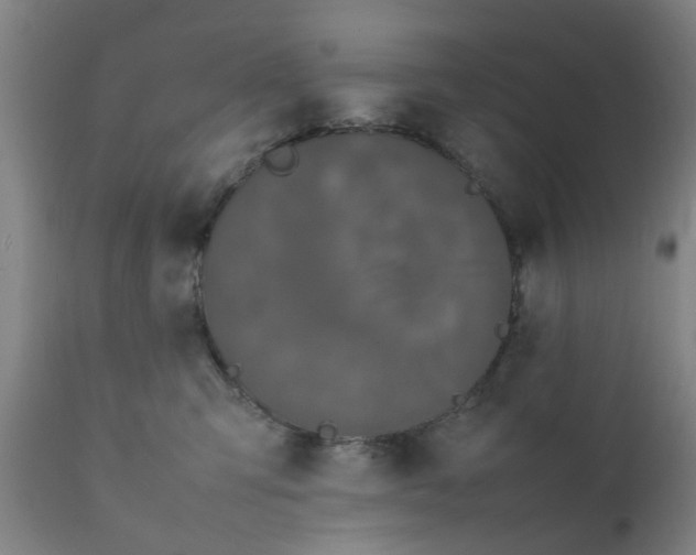 X0000111780423200908131353