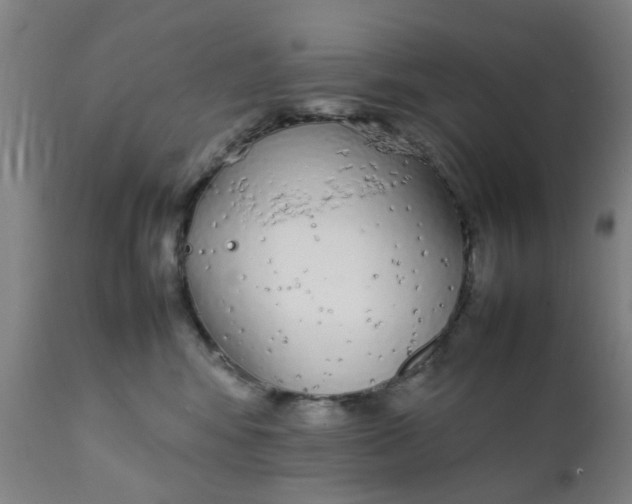 X0000111780424200908131353