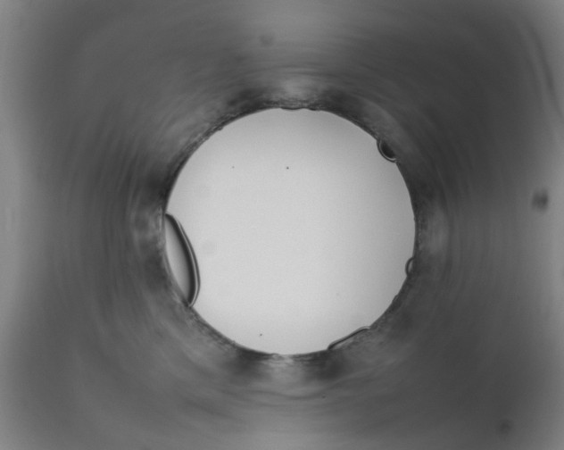 X0000111780425200908131353