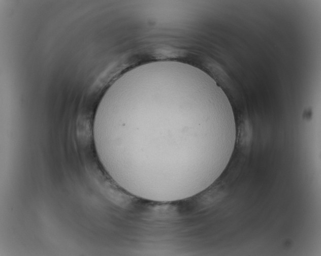 X0000111780426200908131353