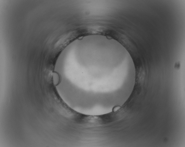 X0000111780427200908131353
