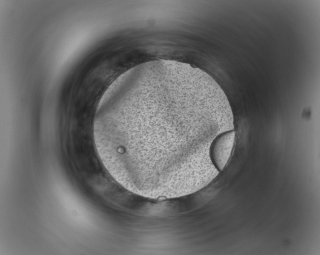 X0000111780430200908131353