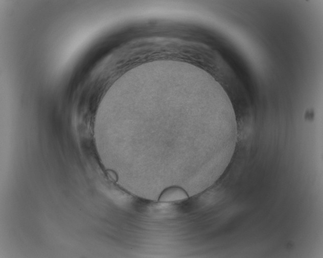 X0000111780431200908131353