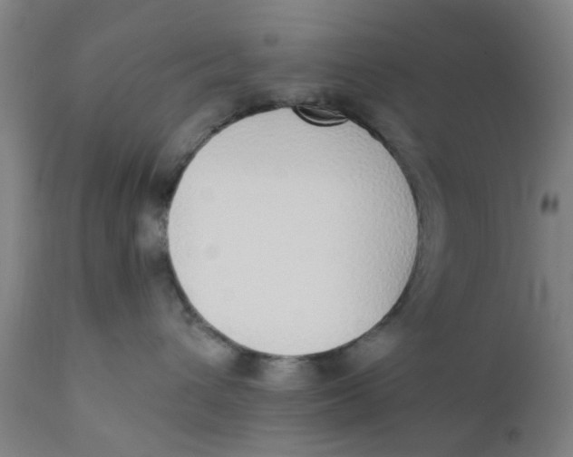 X0000111780432200908131353