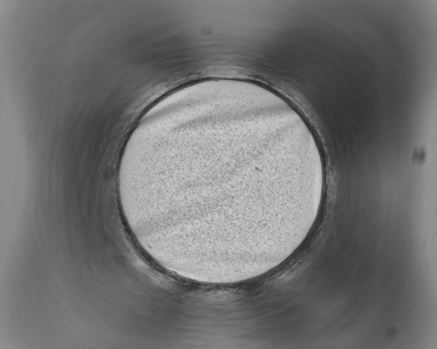 X0000111780433200908131352
