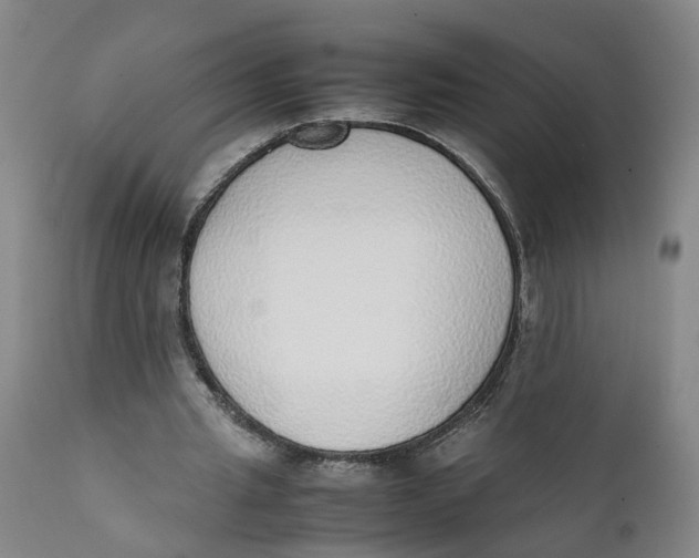 X0000111780437200908131352