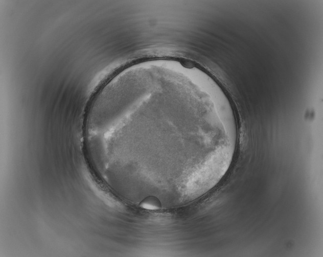 X0000111780438200908131352