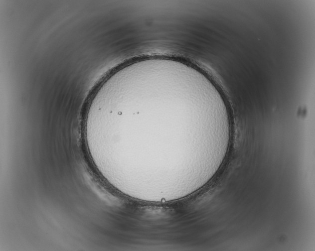 X0000111780439200908131352