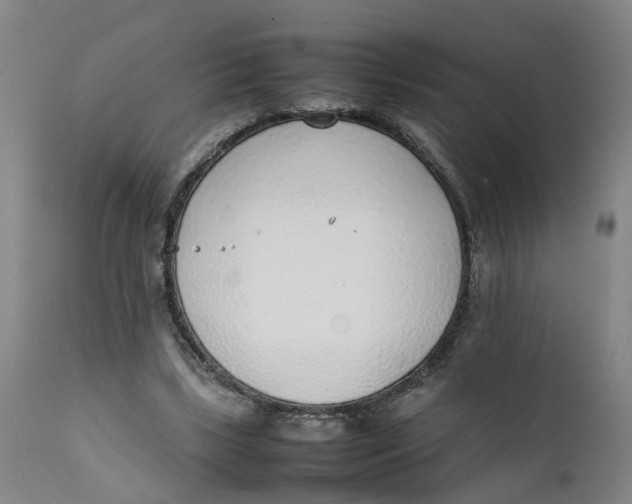 X0000111780443200908131352