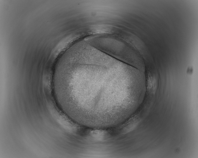 X0000111780444200908131352