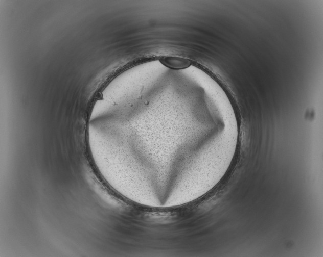 X0000111780445200908131352