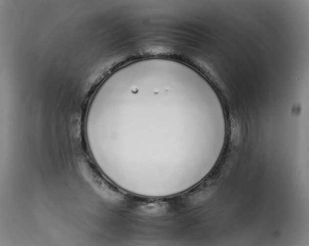 X0000111780447200908131352