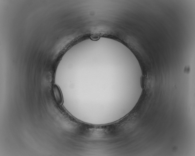 X0000111780448200908131352