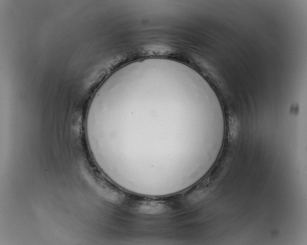 X0000111780451200908131352