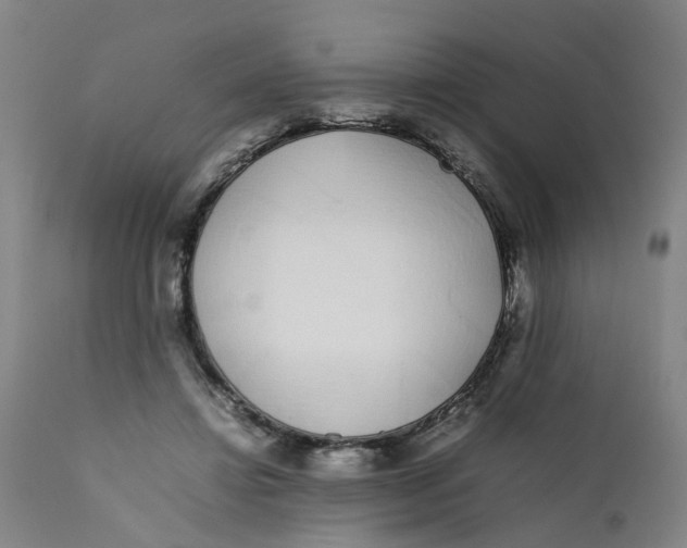X0000111780452200908131352