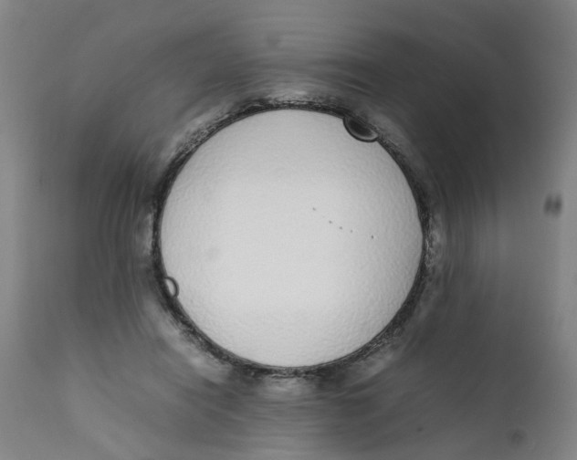 X0000111780454200908131352