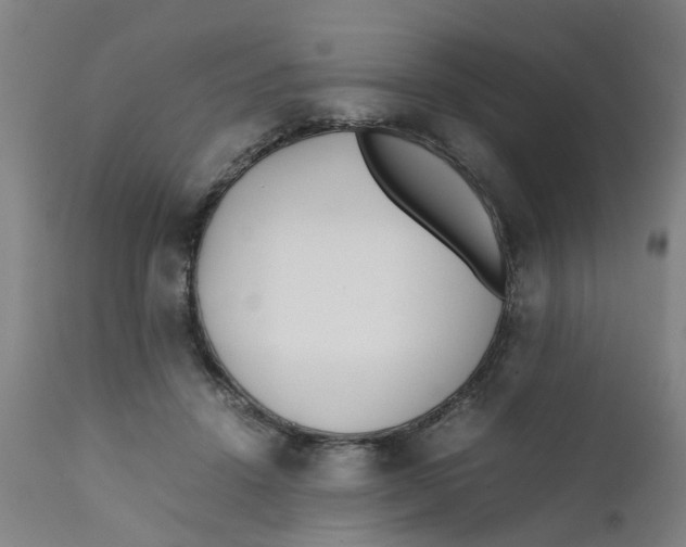 X0000111780456200908131352