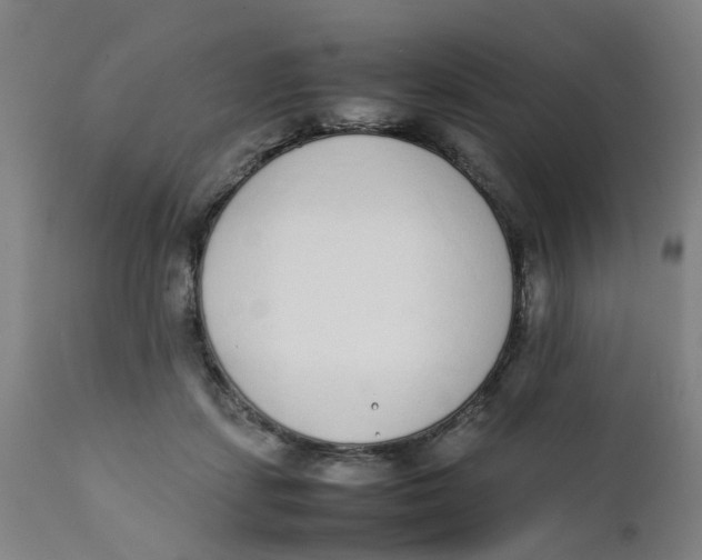 X0000111780459200908131352