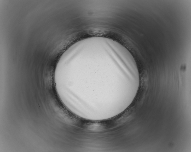 X0000111780460200908131352