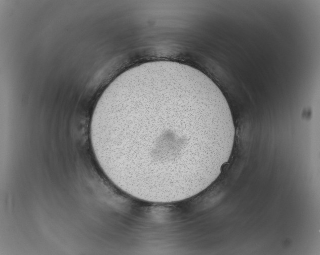 X0000111780462200908131352