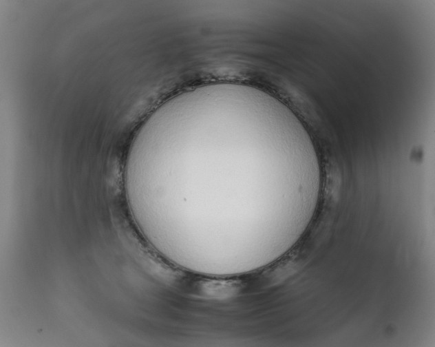 X0000111780465200908131352