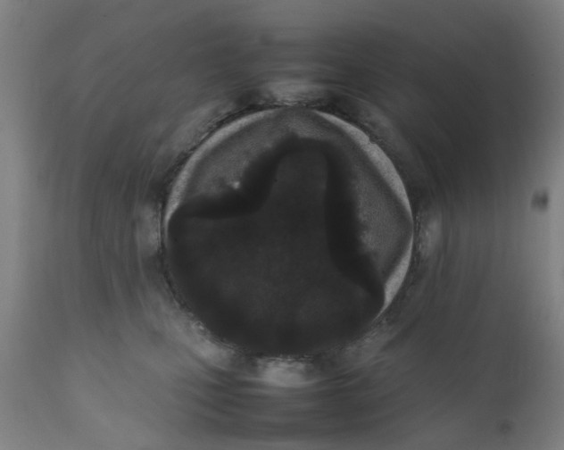 X0000111780471200908131352