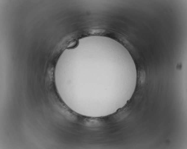 X0000111780475200908131352