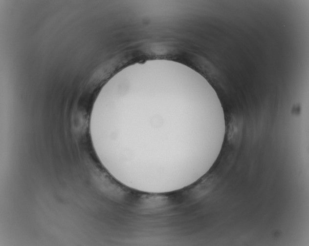 X0000111780476200908131352