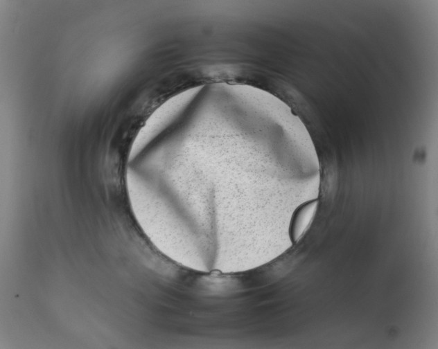 X0000111780477200908131353