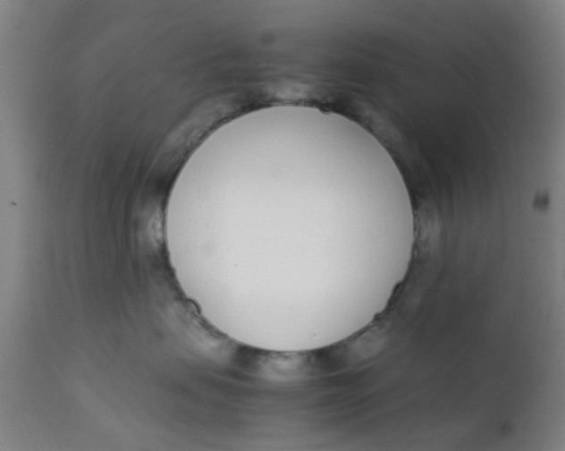 X0000111780479200908131353