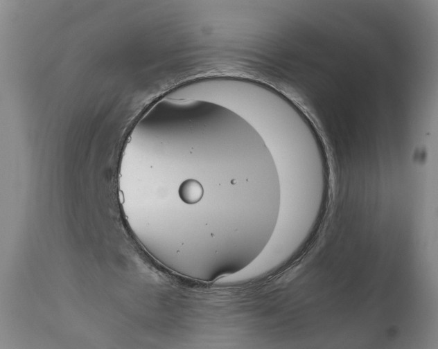 X0000111780481200908131352