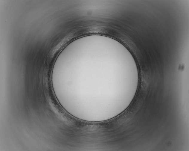 X0000111780482200908131352