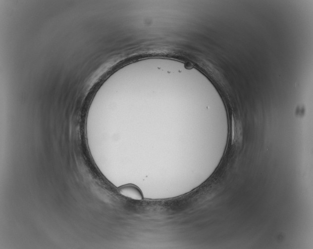 X0000111780483200908131352