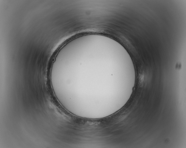 X0000111780484200908131352
