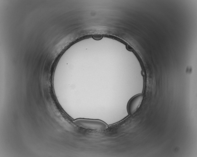X0000111780485200908131352