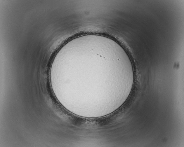 X0000111780487200908131352