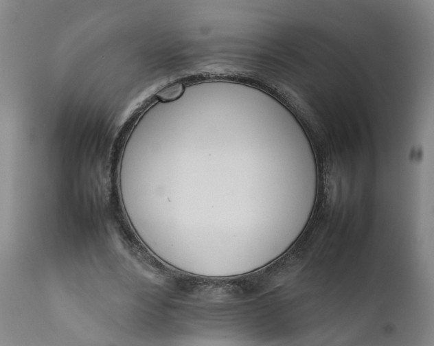 X0000111780488200908131352