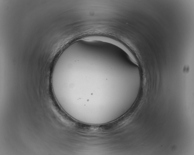 X0000111780493200908131352