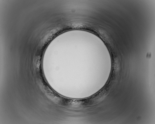 X0000111780495200908131352