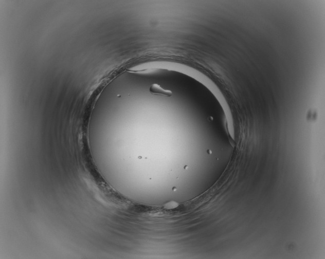 X0000111780500200908131351