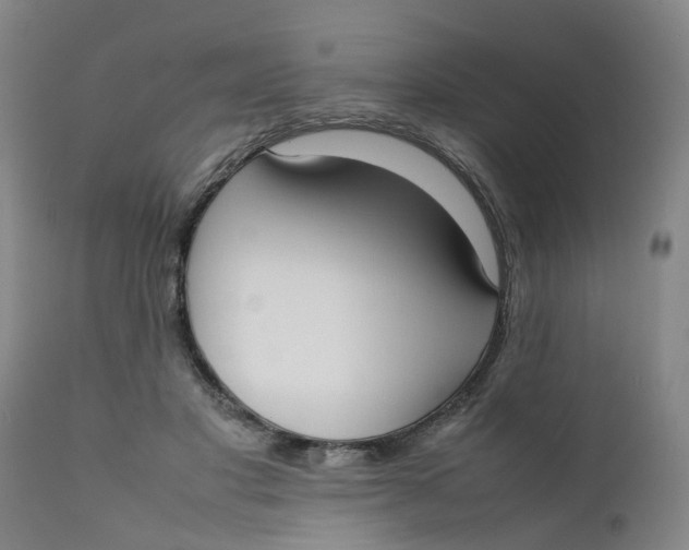 X0000111780501200908131351