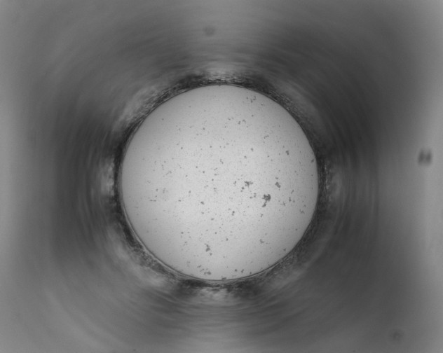 X0000111780502200908131351