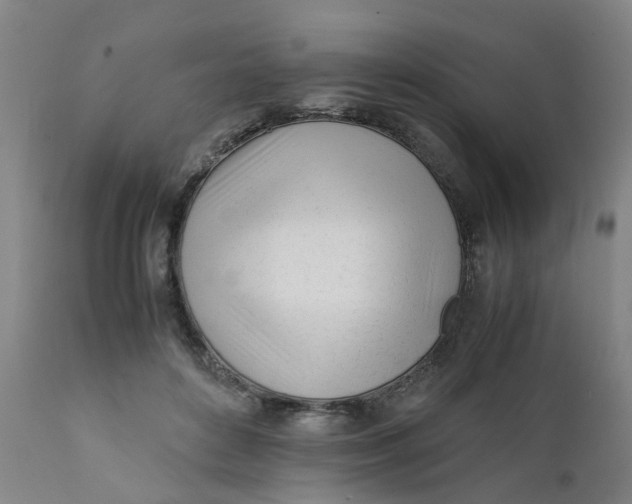 X0000111780504200908131351