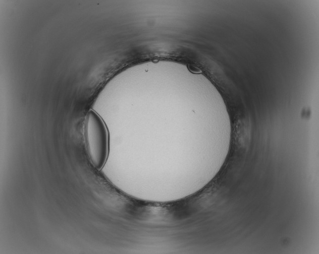X0000111780509200908131351