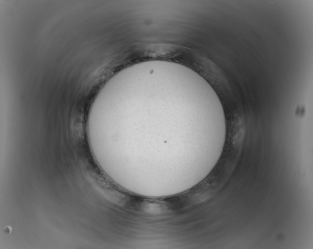X0000111780510200908131351