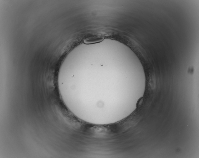 X0000111780512200908131351